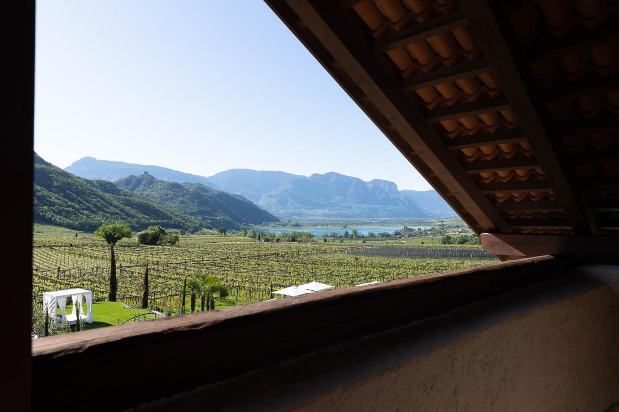 Ansitz Battisti Suites (Adults Only) Caldaro sulla Strada del Vino Habitación foto